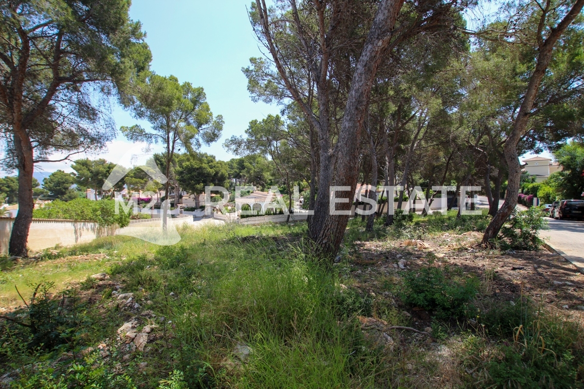 Villa en Moraira, ID P8730