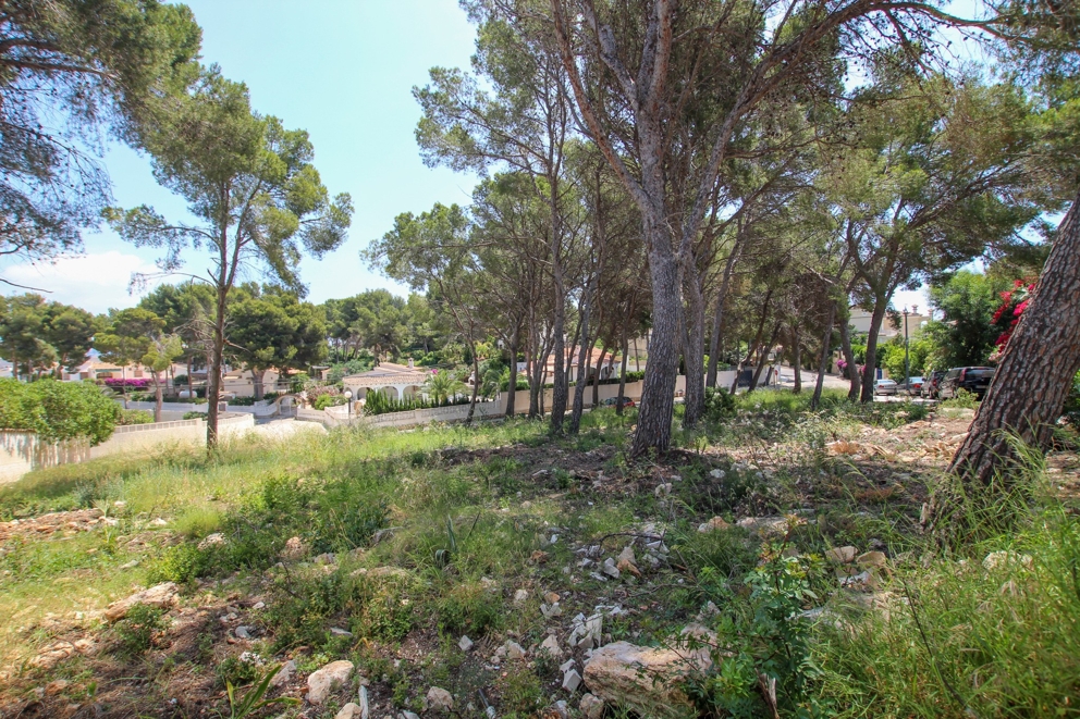 Villa à Moraira, ID P8730